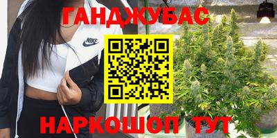 гидропоника Новозыбков
