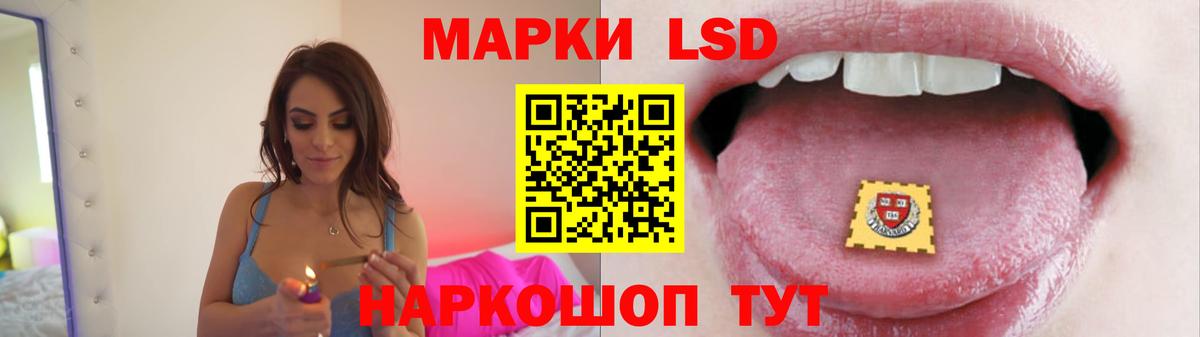 Ставрополь  LSD-25 экстази кислота  ЛСД экстази кислота  omg зеркало  Вход с VPN 