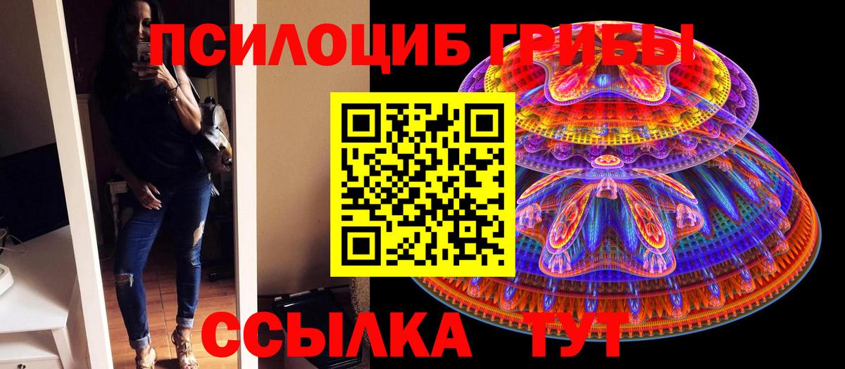 купить наркоту  Вход с VPN  Ставрополь  Псилоцибиновые грибы Psilocybe 